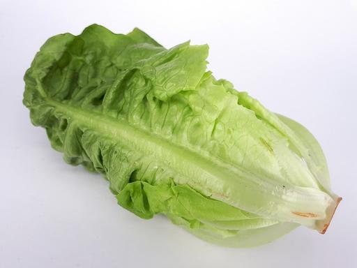 Lettuce Little Gem