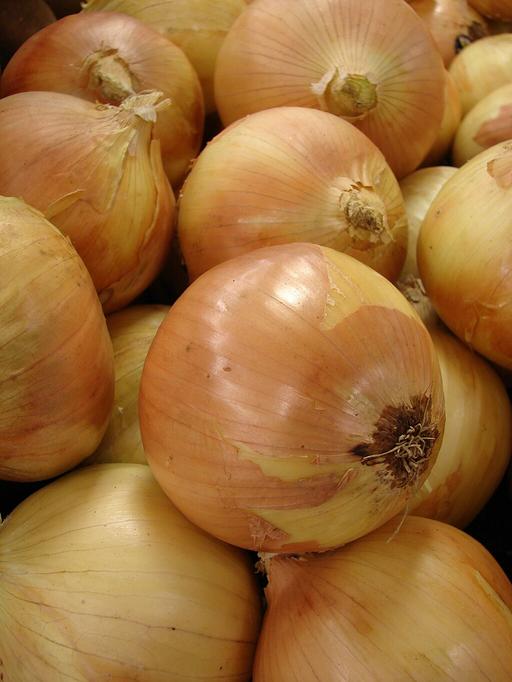 Onions Ailsa Craig